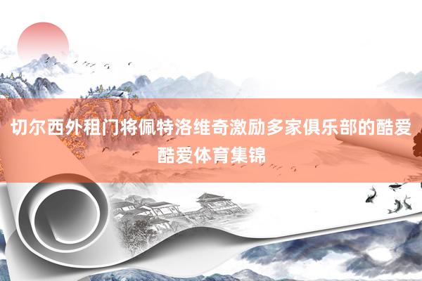切尔西外租门将佩特洛维奇激励多家俱乐部的酷爱酷爱体育集锦