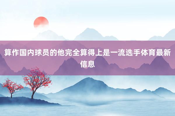 算作国内球员的他完全算得上是一流选手体育最新信息