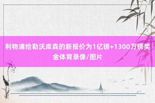 利物浦给勒沃库森的新报价为1亿镑+1300万镑奖金体育录像/图片