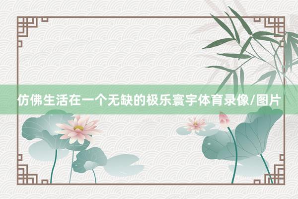 仿佛生活在一个无缺的极乐寰宇体育录像/图片