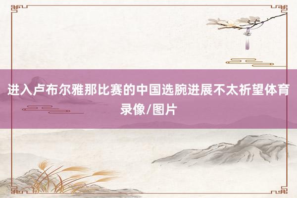 进入卢布尔雅那比赛的中国选腕进展不太祈望体育录像/图片