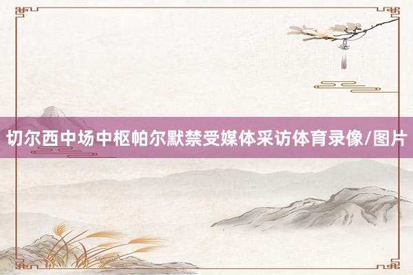 切尔西中场中枢帕尔默禁受媒体采访体育录像/图片