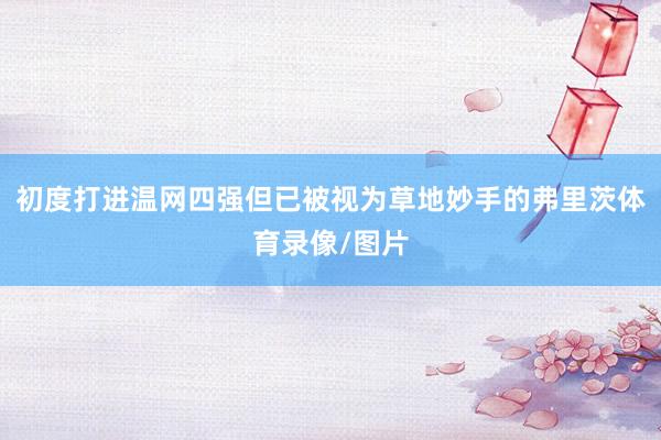 初度打进温网四强但已被视为草地妙手的弗里茨体育录像/图片