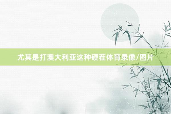 尤其是打澳大利亚这种硬茬体育录像/图片