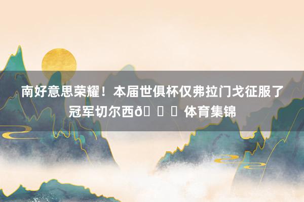 南好意思荣耀！本届世俱杯仅弗拉门戈征服了冠军切尔西😎体育集锦