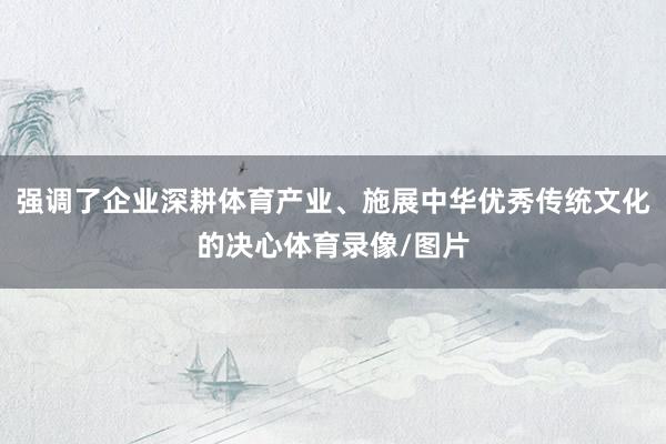 强调了企业深耕体育产业、施展中华优秀传统文化的决心体育录像/图片