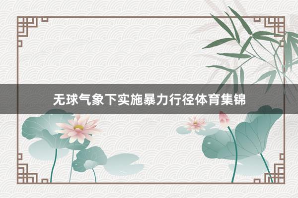 无球气象下实施暴力行径体育集锦