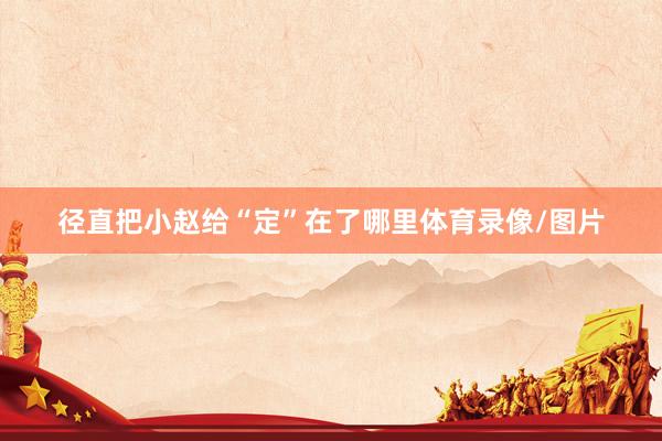 径直把小赵给“定”在了哪里体育录像/图片