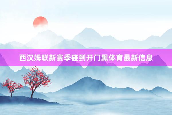 西汉姆联新赛季碰到开门黑体育最新信息