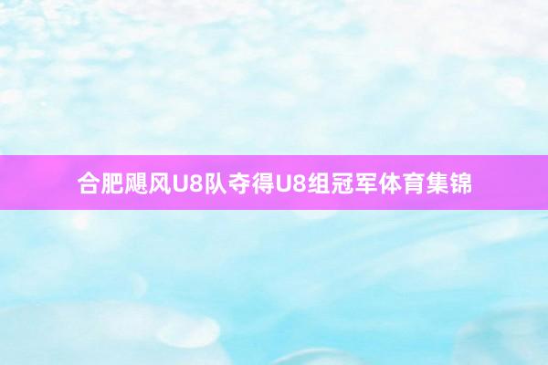 合肥飓风U8队夺得U8组冠军体育集锦