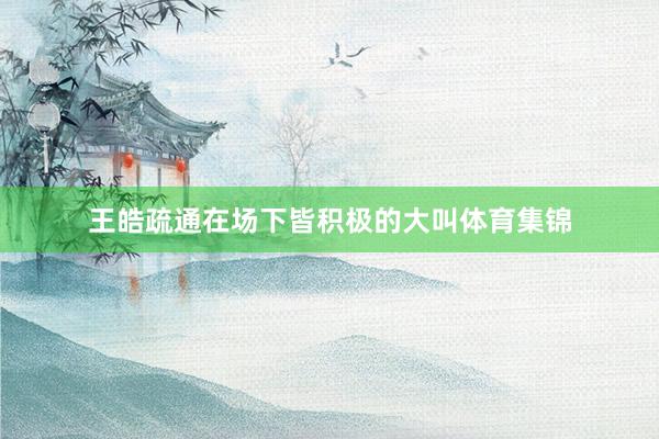 王皓疏通在场下皆积极的大叫体育集锦