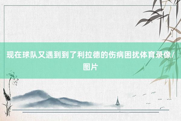 现在球队又遇到到了利拉德的伤病困扰体育录像/图片