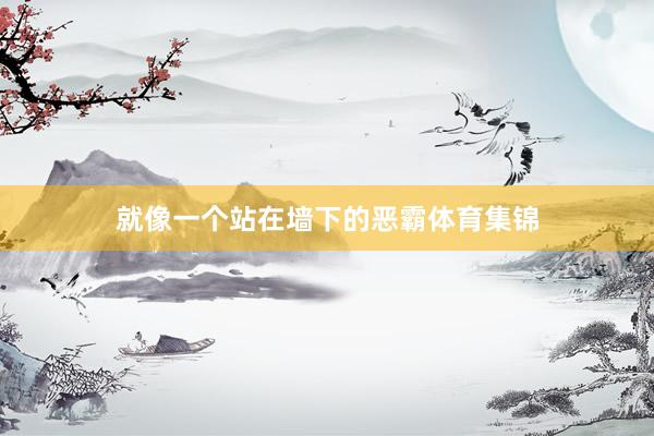 就像一个站在墙下的恶霸体育集锦