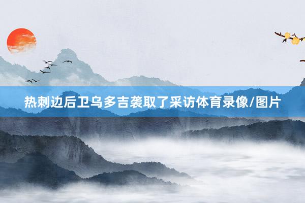 热刺边后卫乌多吉袭取了采访体育录像/图片
