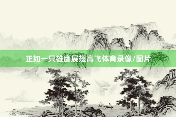 正如一只雄鹰展翅高飞体育录像/图片